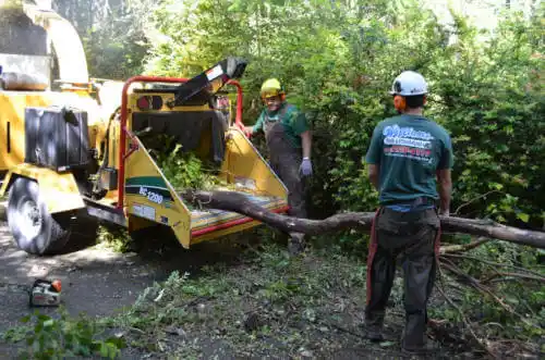 tree services Mapleton